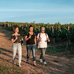 Weinhotel Wasem Ingelheim am Rhein