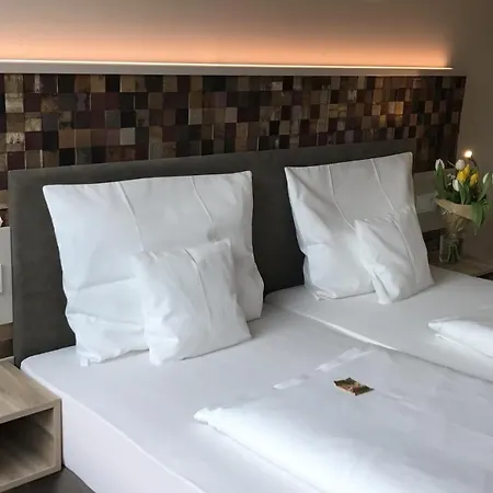 Hotel Weinhotel Wasem