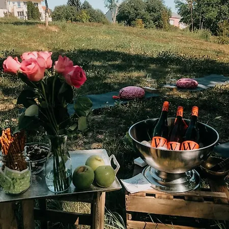 Отель Weinhotel Wasem Ингельхайм-ам-Райн