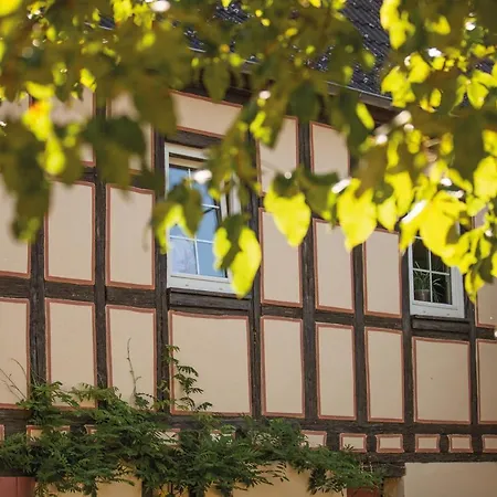 ホテル Weinhotel Wasem インゲルハイム・アム・ライン