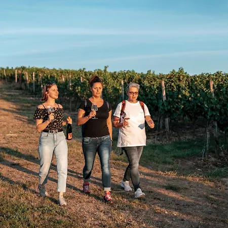 Weinhotel Wasem Ингельхайм-ам-Райн