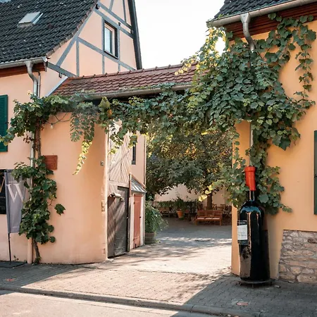 Weinhotel Wasem Ингельхайм-ам-Райн