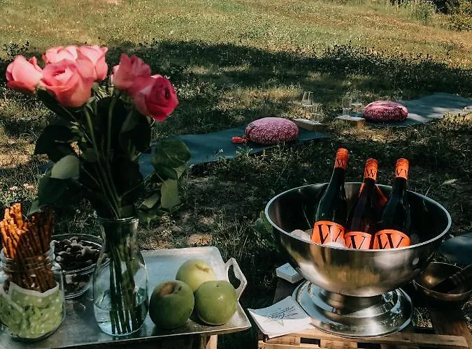 호텔 Weinhotel Wasem 인겔하임암라인