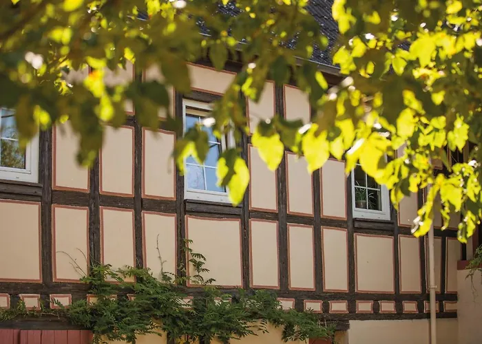 호텔 Weinhotel Wasem 인겔하임암라인