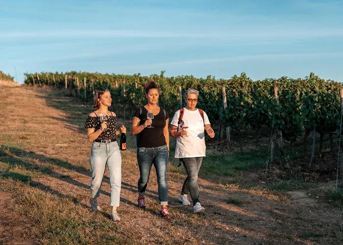 Weinhotel Wasem אינגלהיים אם ריין