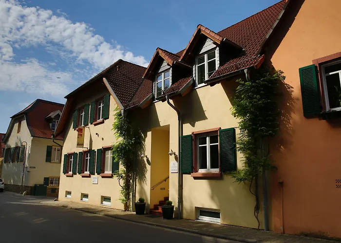 Weinhotel Wasem 호텔 인겔하임암라인