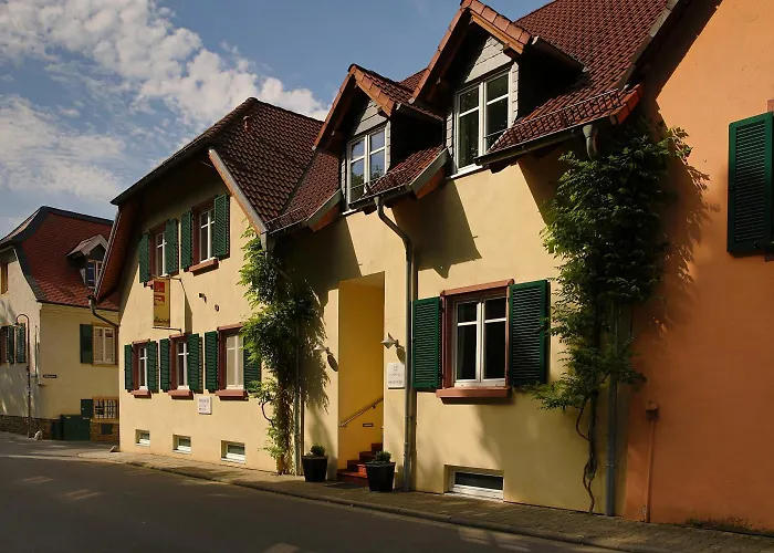 Weinhotel Wasem 호텔 3*