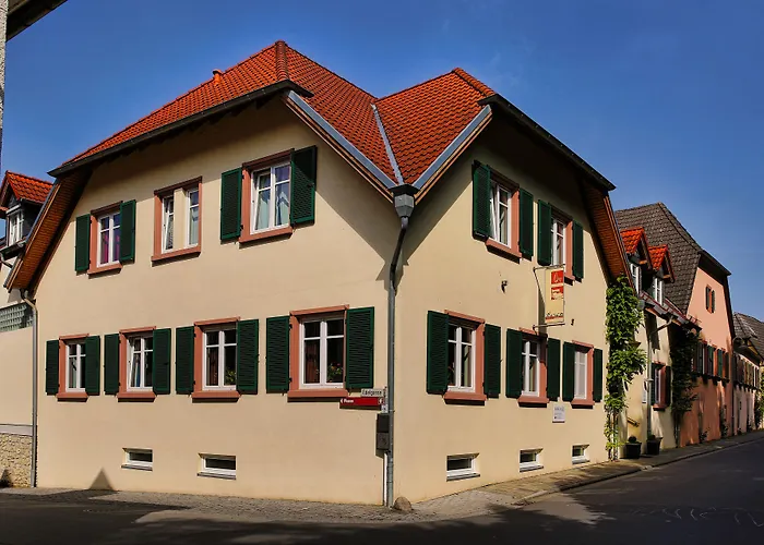 호텔 Weinhotel Wasem